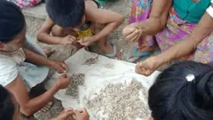 ရခိုင်ပြည်နယ်အတွင်းက စစ်ရှောင်ဒုက္ခသည်အချို့