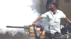 ਡੇਂਗੂ ਲਈ ਕੀਤਾ ਛਿੜਕਾਅ