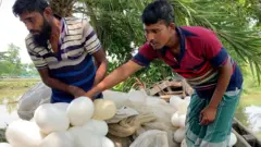 সাগরে মাছ ধরা দিন দিন ঝুকিপূর্ন হয়ে উঠছে