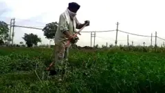 ਪਰਵਾਸੀ ਮਜ਼ਦੂਰ ਦਾ ਪਲਾਇਨ