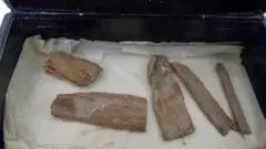 موندل شوی اثر