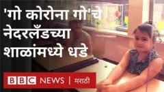 हॉलंड, कोरोना शाळा