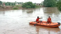 ਘੱਗਰ