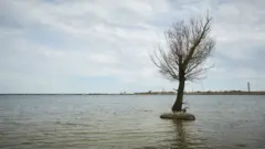 каховка