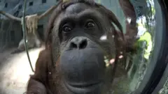 சான்ட்ரா.