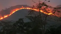 Slash and burn fire in Ghana of West Africa