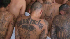 Pandilleros detenidos en El Salvador