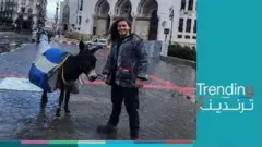 ياسر بولعراس