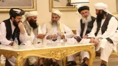 طالبان