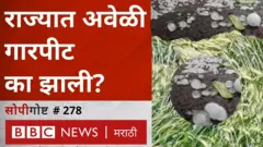 मराठवाडा, विदर्भ, पश्चिम महाराष्ट्रात अशी अवेळी गारपीट का झाली?