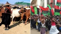 Ndị ọchịehi na ndị Ipob