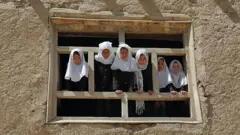 زده کوونکې