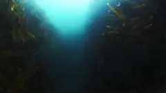 Keyframe #1