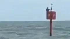 Screengrab of Twitter video posted by @disangermano of the rescue