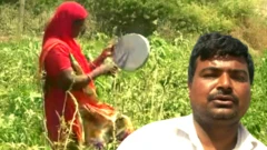 ਟਿੱਡੀ ਦਲ