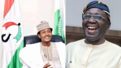 Update on PDP national convention: New PDP national chairman, 25 yr-old youth leader, full list of excos