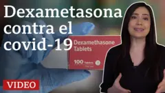 Ana Maria Roura