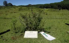 Lápide no meio de im campo no sítio histórico de Santa Maria