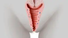 Ọtụ nwaanyị