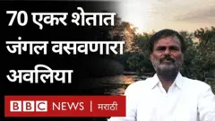 तेलंगाणा, जंगल पुनर्वसन