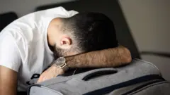 daal joogta ah