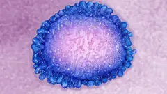 ኮሮናቫይረስ