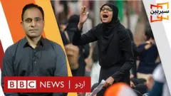 سیربین