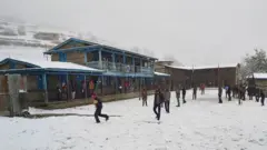डोल्पा