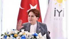 Merak Akşener