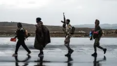 Loltoota TPLF