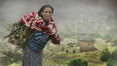 ጎመን ወደ ገበያ እዛ የምትሄድ ሴት