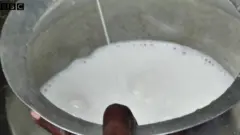 milk