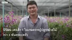 กล้วยไม้ โควิด