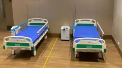 आयीयू बेड