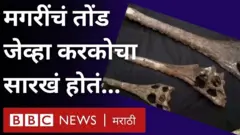 मगरीची जीवाश्म, पेरू