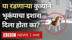 भूकंप