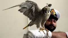 سمگلنگ