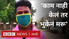 पंजाब, लॉकडाऊन, शेती