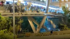 Some protesters used rope ladders to escape the building