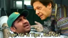 ट्वीट