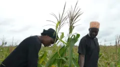 नाइजीरिया