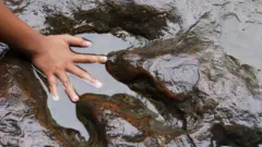 சித்தரிப்புப் படம்