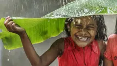 पाऊस, निसर्ग, पर्यावरण