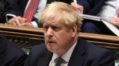 英國首相約翰遜