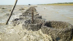 Lingkungan, laut