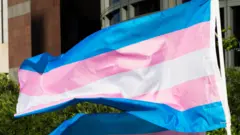 صورة ملف تُظهر علم الفخر الخاص بالمتحولين جنسيا في مبنى إدوارد ر. رويبال الفيدرالي في لوس أنجلوس، كاليفورنيا (31 مارس/اذار 2017)