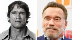 Arnold Schwarzenegger appilikeeshinii dura, erga appilikeeshinii seenee fi amma waan fakkaatu