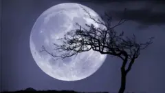 చంద్రుడు
