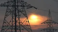 પ્રતીકાત્મક તસવીર