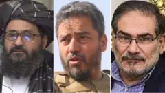 شمخانی، ضیا و ملا برادر